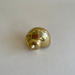 Brass Shells ~ various types - The Jungle Emporium