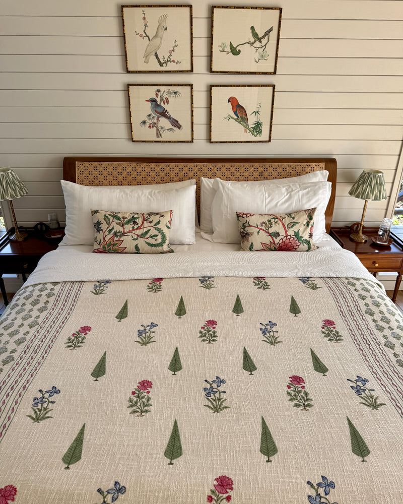 Handwoven Mughal Cotton Blanket ~ various