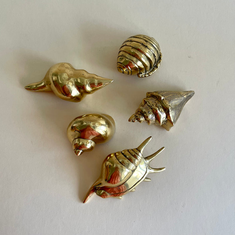 Brass Shells ~ various types