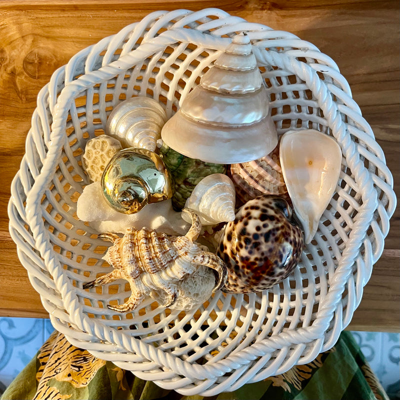Brass Shells ~ various types