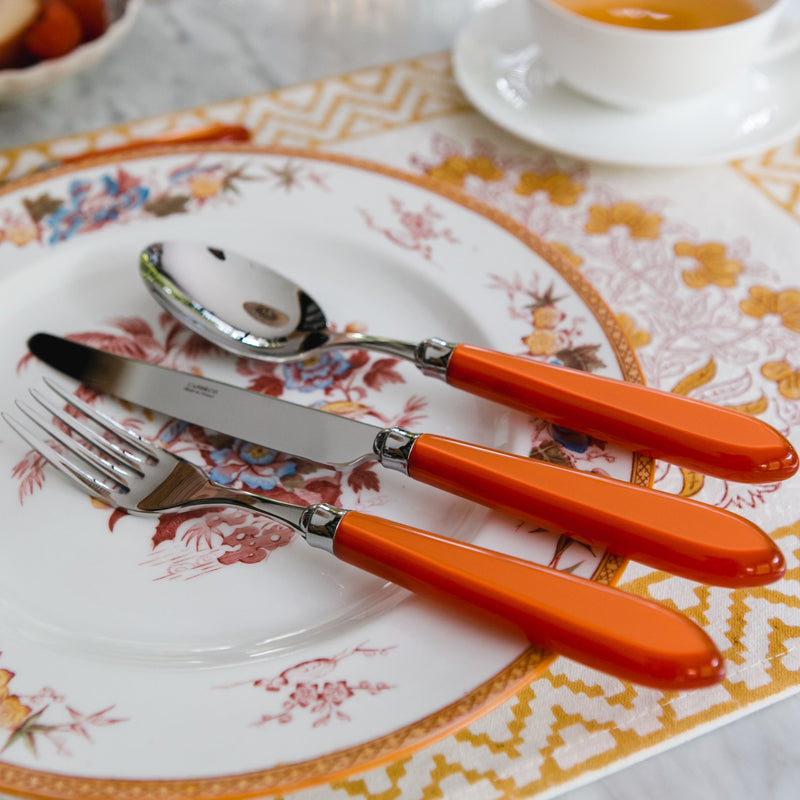 Omega 4 piece cutlery set ~ Coral