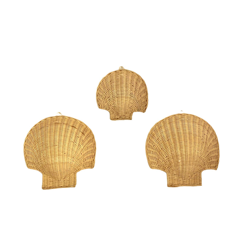 Decorative Rattan Shell Rattan Wall Shell ~ Small – The Jungle Emporium Atelier